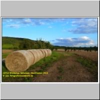 16712 Weinberge Bullenheim Oberfranken 2010.JPG